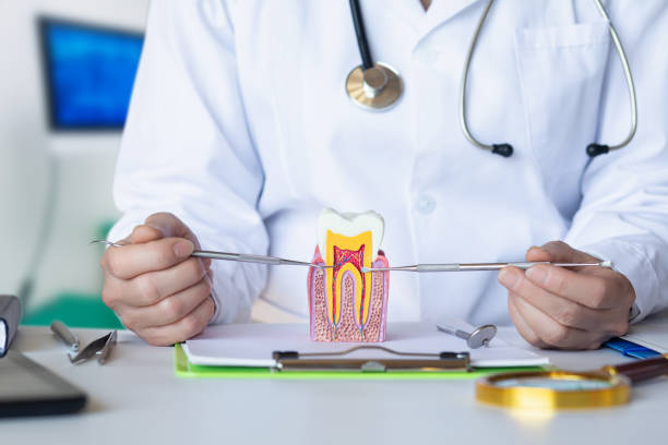 Best Walk-In Emergency Dental Services in Panguitch, UT